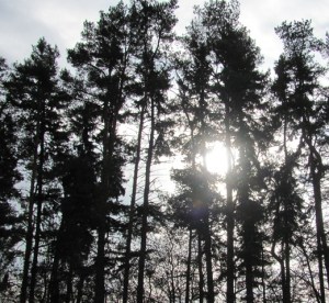 Sun breaking through dark ines.